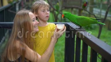 鸟公园里一对母子用牛奶喂一群绿、红的鹦鹉